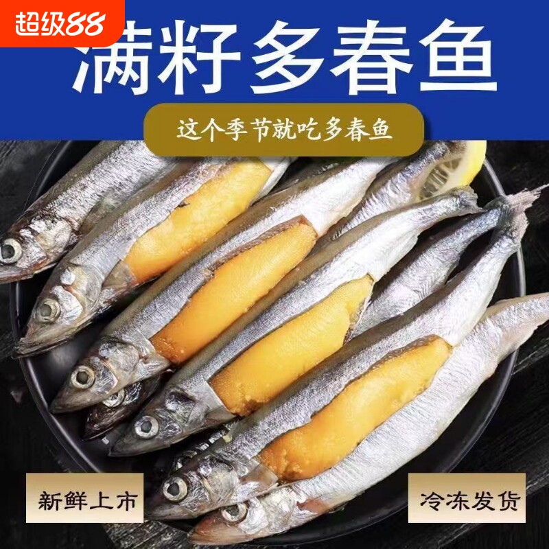 多春鱼满籽新鲜烧烤食材冷冻籽鱼海鲜水产鲜活海鱼生鲜批发年货节