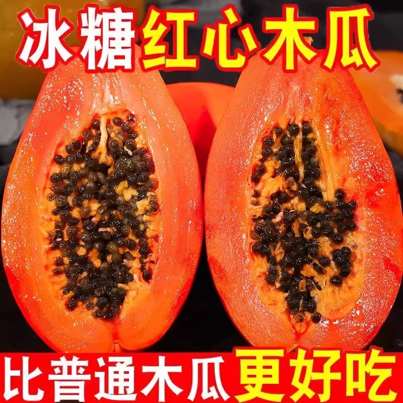 红心牛奶木瓜新鲜木瓜水果当季树上自然熟冰糖心青皮木瓜现摘整箱
