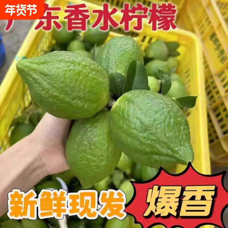 香水青柠檬新鲜无籽薄皮手打黄子弹头广东柠檬奶茶店专用水果包邮