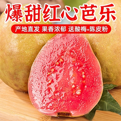 番石榴福建红心芭乐果新鲜水果包邮时令应季胭脂红巴乐软糯好吃