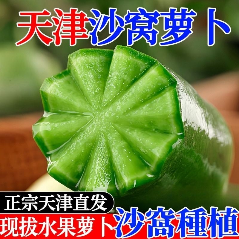 正宗天津沙窝萝卜水果萝卜甜脆水果型新鲜青萝卜生吃非潍坊罗卜