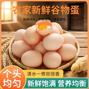 鲜鸡蛋新鲜谷物鸡蛋30枚正宗农家散养生鲜柴草精选