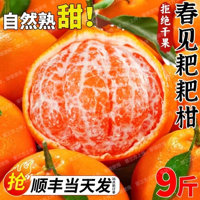 顺丰四川春见耙耙柑正宗粑粑柑当季新鲜水果杷杷橘甜现摘年货节