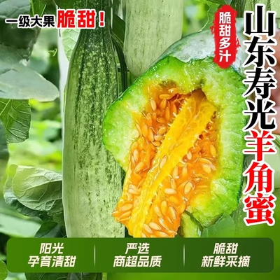 羊角蜜甜瓜当季新鲜水果脆甜蜜瓜香瓜时令羊角脆产地直发
