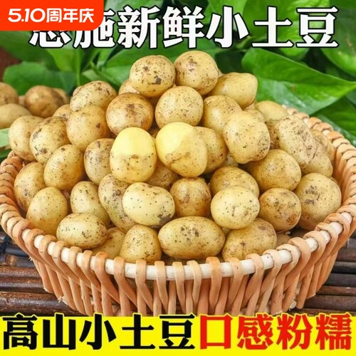 正宗恩施小土豆新鲜农家土豆蔬菜黄心现挖洋芋黄皮迷你马铃薯批发
