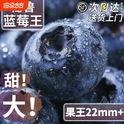 【顺丰速达】高山秘鲁蓝莓王当季高端孕妇新鲜水果怡颗云蓝梅进口