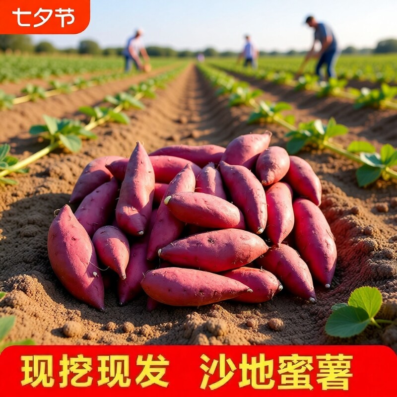 红薯正宗龙九蜜薯糖心新鲜番薯板栗六鳌沙地地瓜山芋农家自种黄心