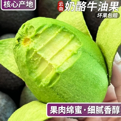 云南哈斯牛油果果肉绵密细腻香醇