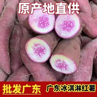 广东茂名正宗沙地冰淇淋红薯一点红番薯新鲜现挖板栗花心地瓜蜜薯