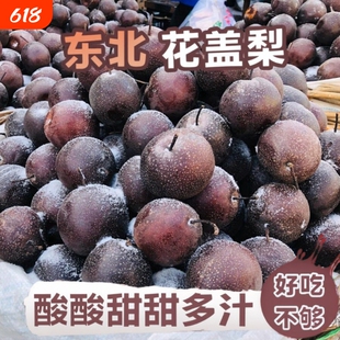 东北冻梨当季水果甜酸梨子花盖梨苹果梨大黑梨整箱无渣年货冷冻