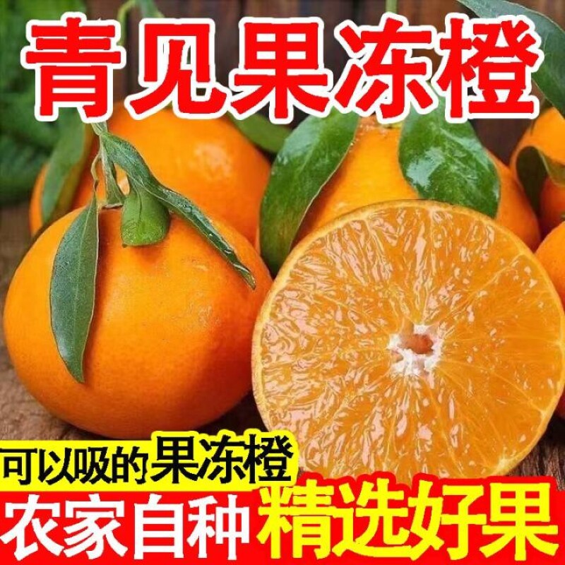 四川青见果冻橙新鲜橙子酸甜橙子柑橘包邮
