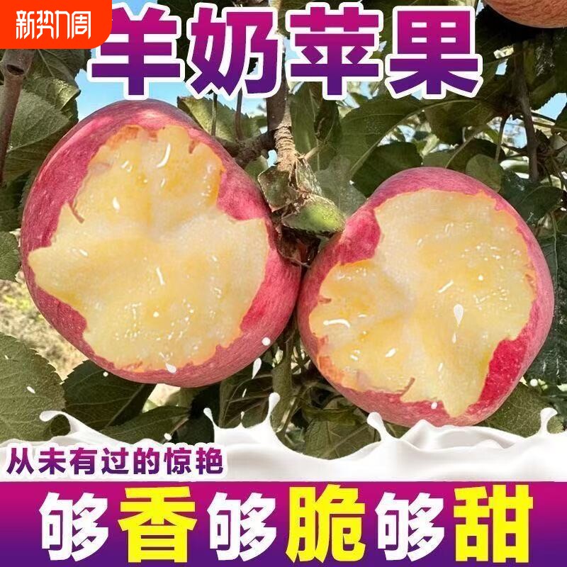 【包脆包甜】正宗山西万荣羊奶苹果新鲜红富士应季水果香甜批发