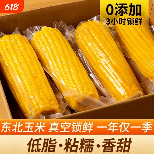 新鲜黄糯玉米东北甜糯拉丝玉米香甜粘玉米棒轻食早晚代餐宝宝辅食