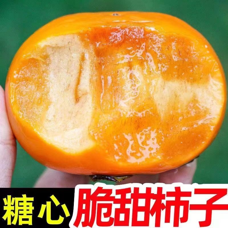 山西巧克力脆柿子新鲜水果脆皮柿子甜柿子冰糖心当季水果整箱包邮