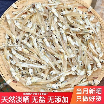 北海新晒海燕鱼干白帆鱼公干鱼海鲜特产鲜小鱼干海味干货新鲜鲜香