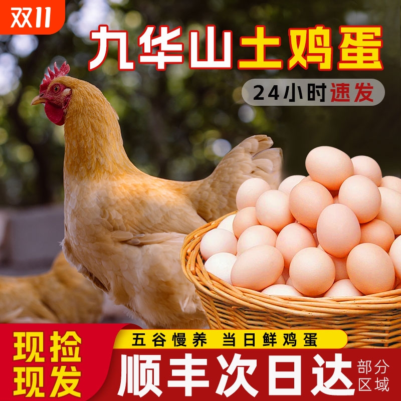 顺丰包邮正宗九华山土鸡蛋100枚整箱批发农家新鲜鸡蛋次日配送