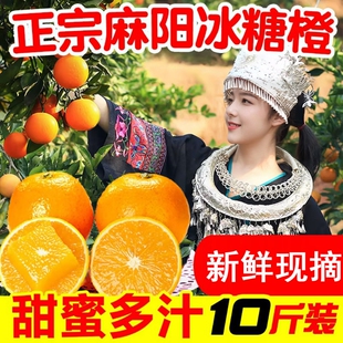 整箱柑手剥甜橙 新鲜水果橙子当季 一级正宗湖南麻阳冰糖橙10斤 包邮