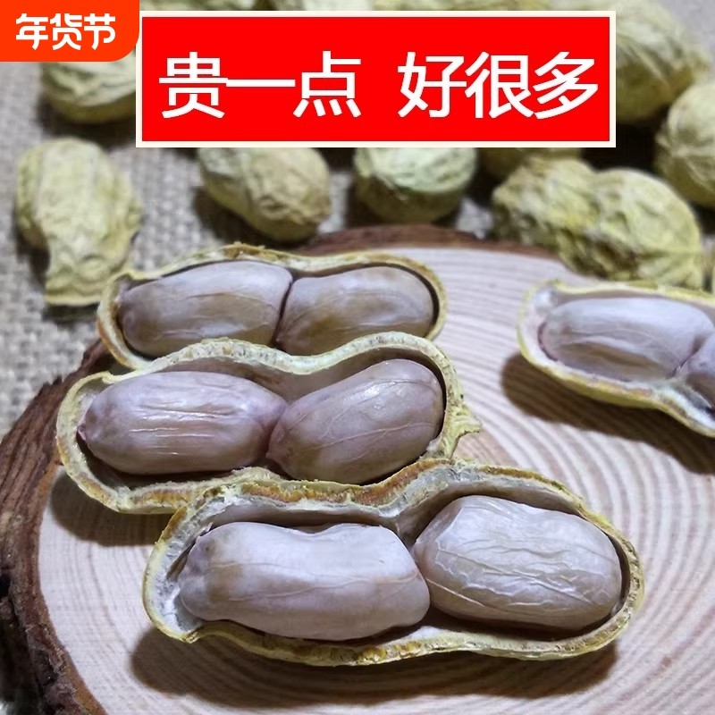 新龙岩水煮花生白晒干盐水煮咸干湿烤500gx2袋装散带壳熟零食特