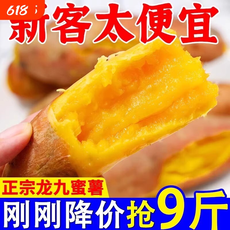 正宗沙地黄心蜜薯现挖龙九番薯新鲜地瓜板栗红薯山芋批发香甜自提