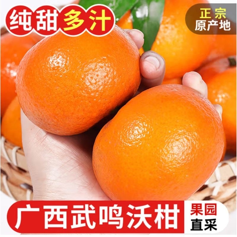 正宗广西武鸣县沃柑新鲜孕妇水果当季水果直发原产地果园回购源头,水产肉类/新鲜蔬果/熟食,桔子,淘宝优惠券,粉丝福利购,淘宝优惠卷
