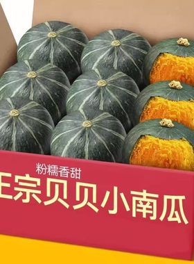贝贝南瓜新鲜板栗味老南瓜正宗甜粉糯婴儿小南瓜5斤包邮水果蔬菜