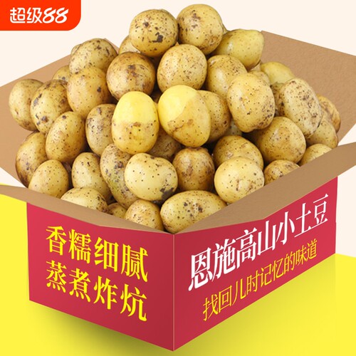 新鲜当季恩施小土豆儿时味道