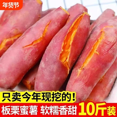 沙地龙九蜜薯红薯新鲜番薯农家烤地瓜山芋甜红心香薯板栗年货节