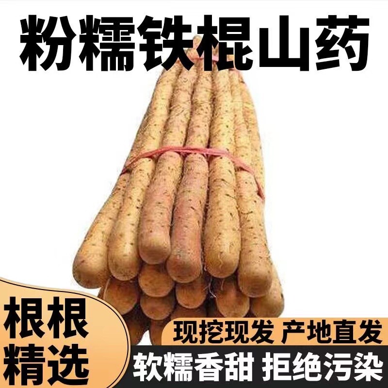 【免费试吃1斤】正宗垆土铁棍山药农家新鲜铁杆淮山药产地直发5斤