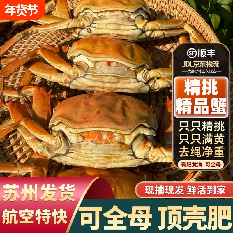 蟹只只满黄大闸蟹鲜活螃蟹全母超特大河蟹10只礼盒苏州发水产送礼,水产肉类/新鲜蔬果/熟食,大闸蟹,淘宝优惠券,粉丝福利购,淘宝优惠卷