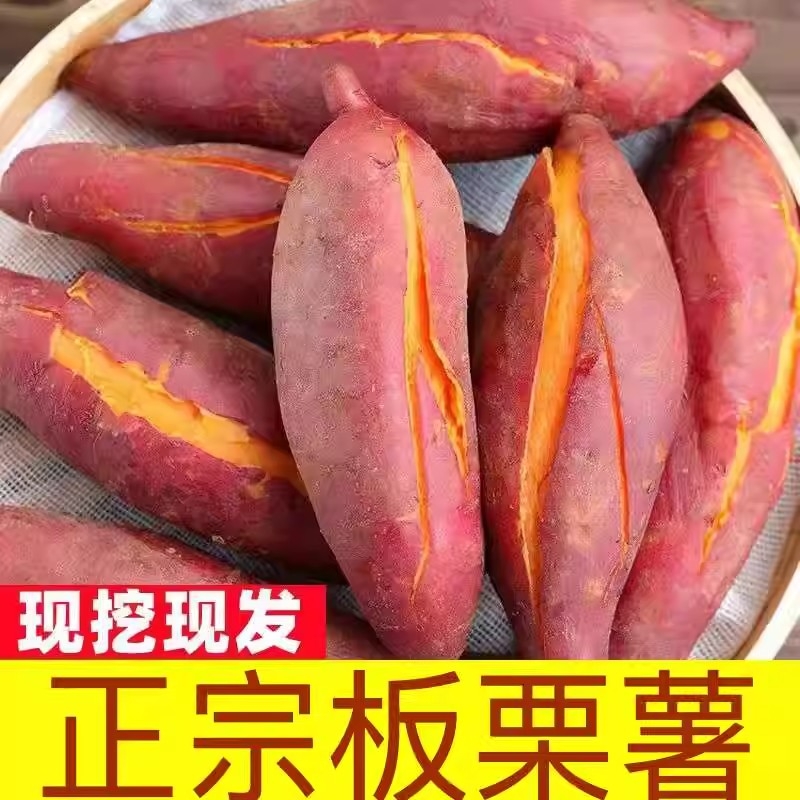 正宗沙地糖心蜜薯9斤红薯现挖新鲜农家番薯粉糯地瓜现发红心