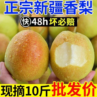 正宗新疆香梨梨新鲜水果梨子红香酥梨库尔勒杂交品种批发年货节
