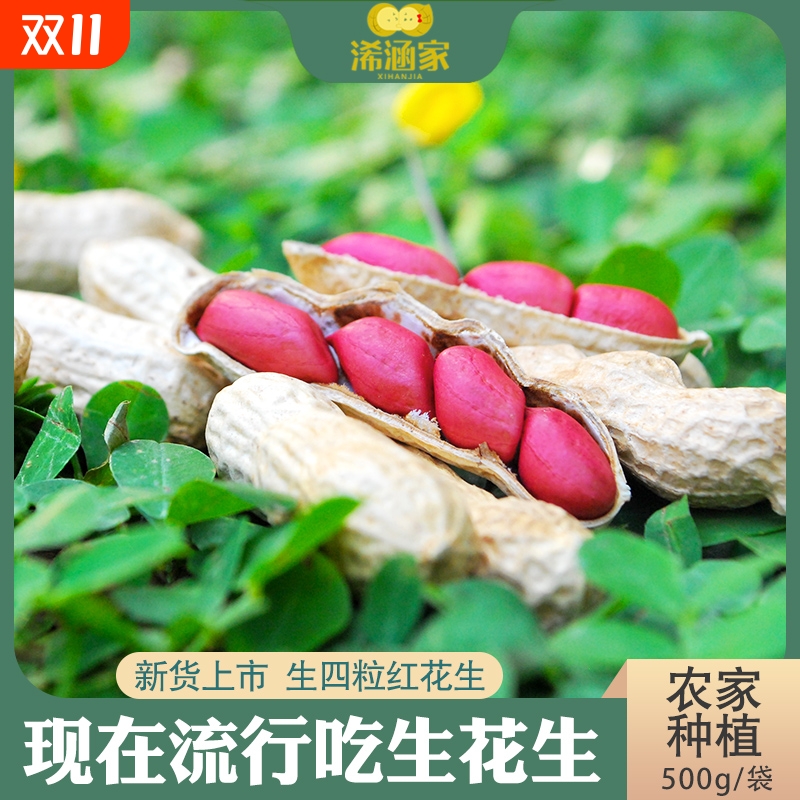 25年红皮花生米新货5斤四粒红新鲜晒干红衣小花生原味带壳生花生