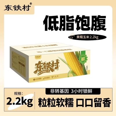东铁村2025新黄糯玉米真空包装东北黑土地北纬47新鲜玉米苞米