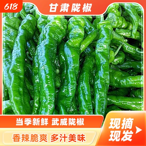 忆陇甜甘肃沙漠陇椒3斤顺丰包邮