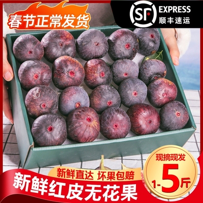 四川红皮无花果新鲜当季软糯水果