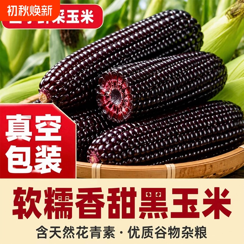 东北黑糯玉米|超6000次加购