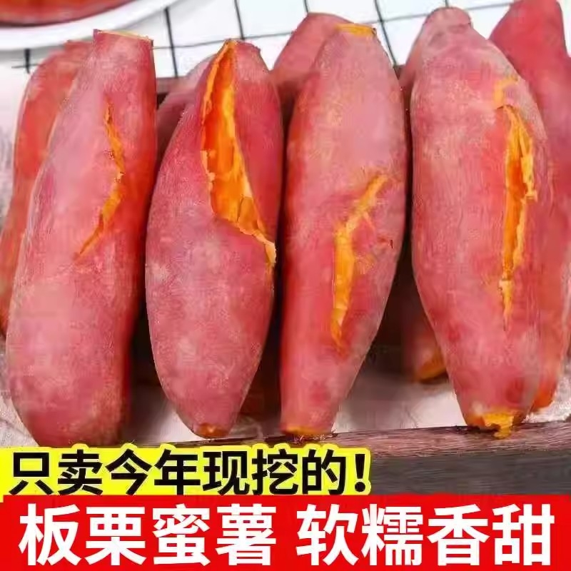 新鲜蜜薯板栗红薯沙地糖心地瓜农家自种番薯现挖红心香薯山芋香甜