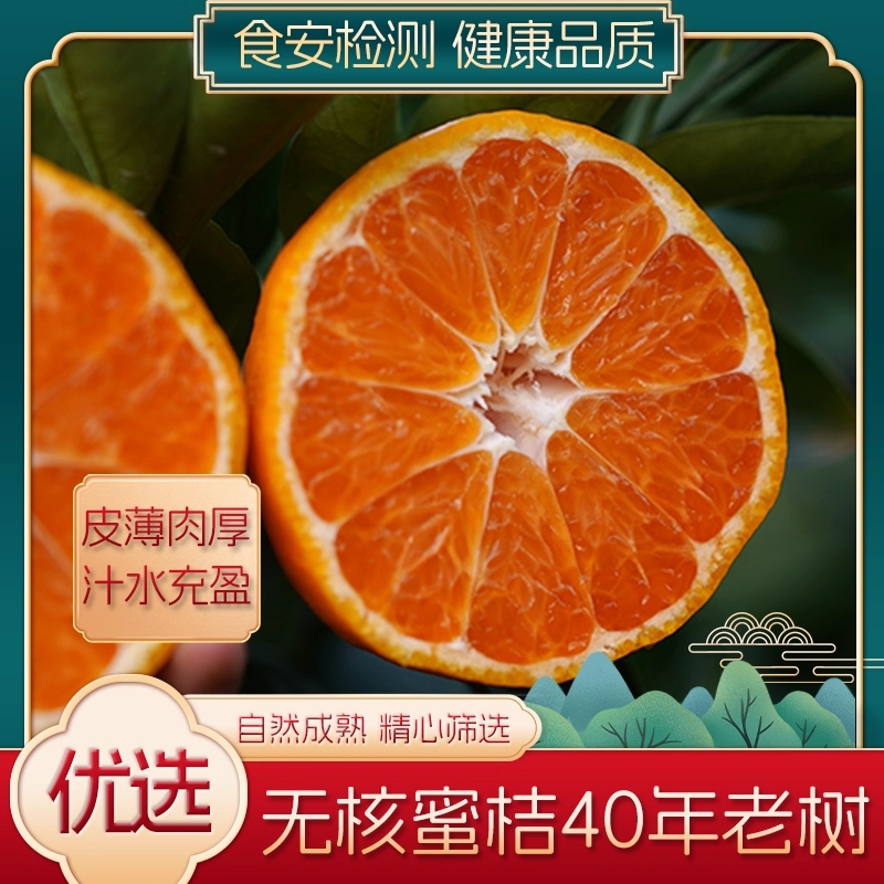 正宗浙江台州新鲜无核蜜桔