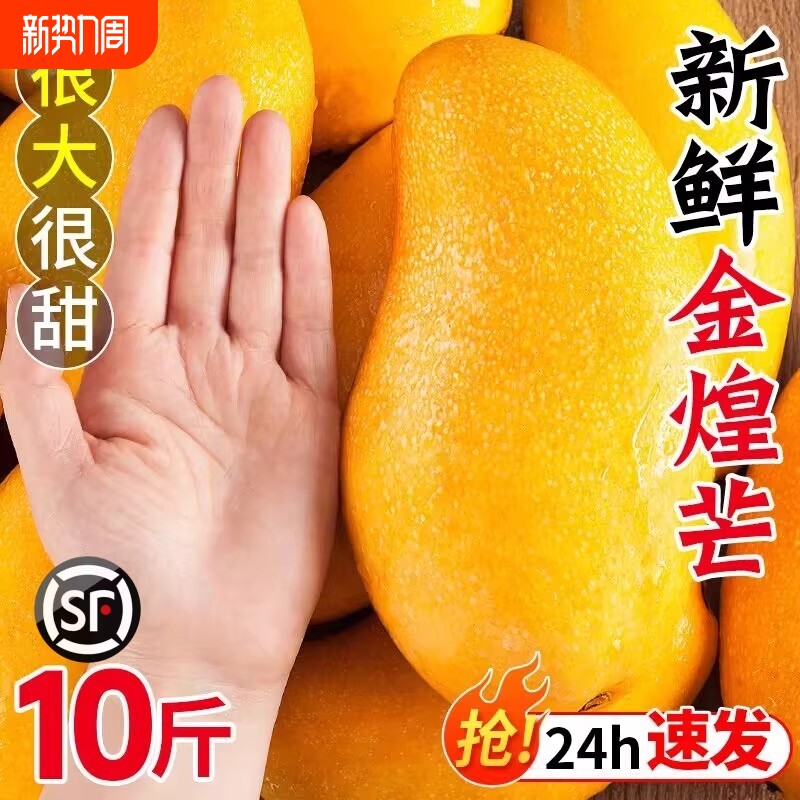 海南金煌芒果10斤装一级甜心芒大果当季新鲜水果甜蜜特产包邮整箱