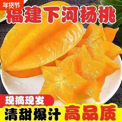 福建漳州杨桃新鲜水果香甜洋桃五角星阳桃当季树上熟大果