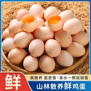 正宗鸡蛋林下散养鲜鸡蛋40枚月子笨鸡蛋农家散养土鸡蛋谷物柴鸡蛋