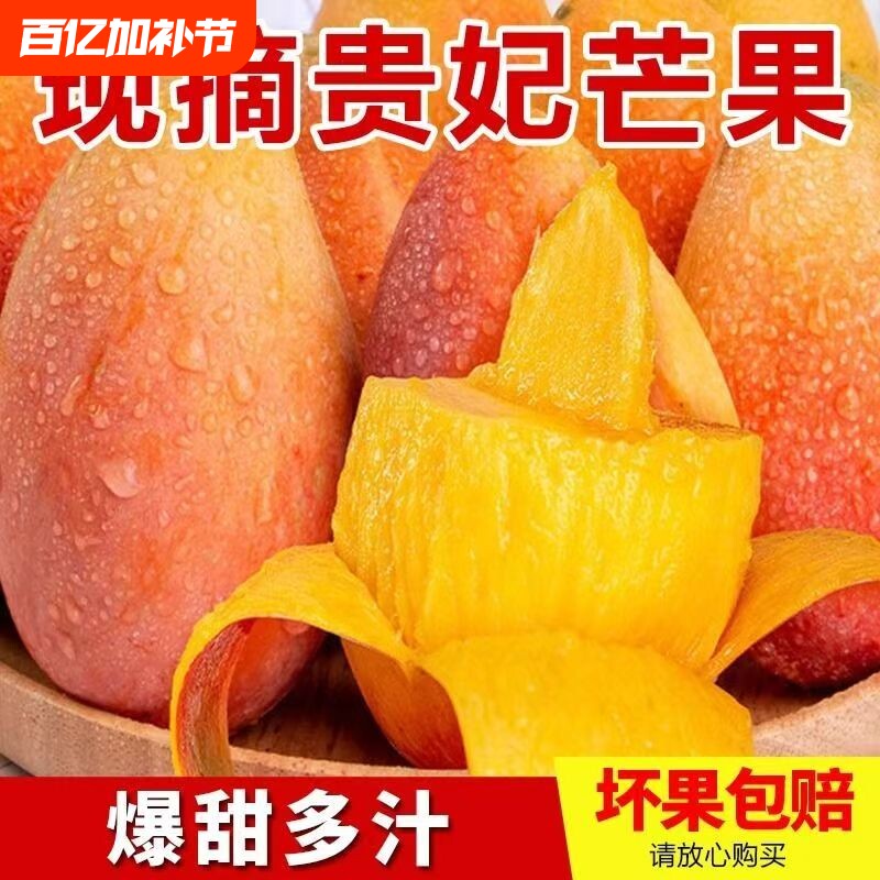 海南贵妃芒果现摘树上熟红金龙芒果辣椒芒特级果新鲜水果孕妇水果
