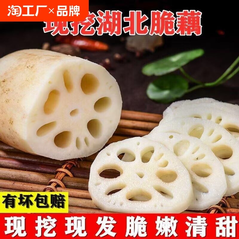 【拒绝漂白】新鲜莲藕农家脆藕粉藕现挖煲汤九孔泥巴莲藕当季凉拌