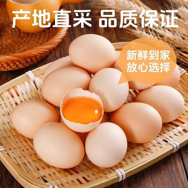 笨鸡蛋山林农家散养新鲜土鸡蛋谷物柴鸡蛋初生蛋虫草蛋40g±5g/
