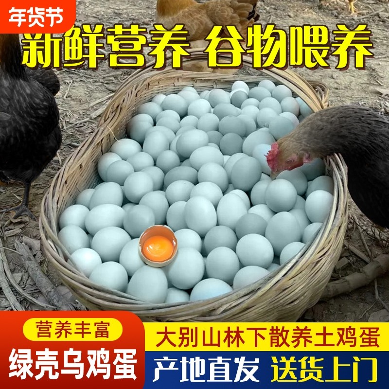 绿壳乌鸡蛋正宗农家散养50枚大别山跑山鸡虫草土鸡蛋新鲜喂养谷物,水产肉类/新鲜蔬果/熟食,鸡蛋,淘宝优惠券,粉丝福利购,淘宝优惠卷