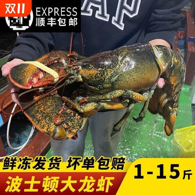 波士顿龙虾鲜活冷冻送礼海鲜礼盒