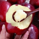 2025年新鲜农家花牛苹果正宗甘肃天水特产蛇红果粉面新鲜水果整箱