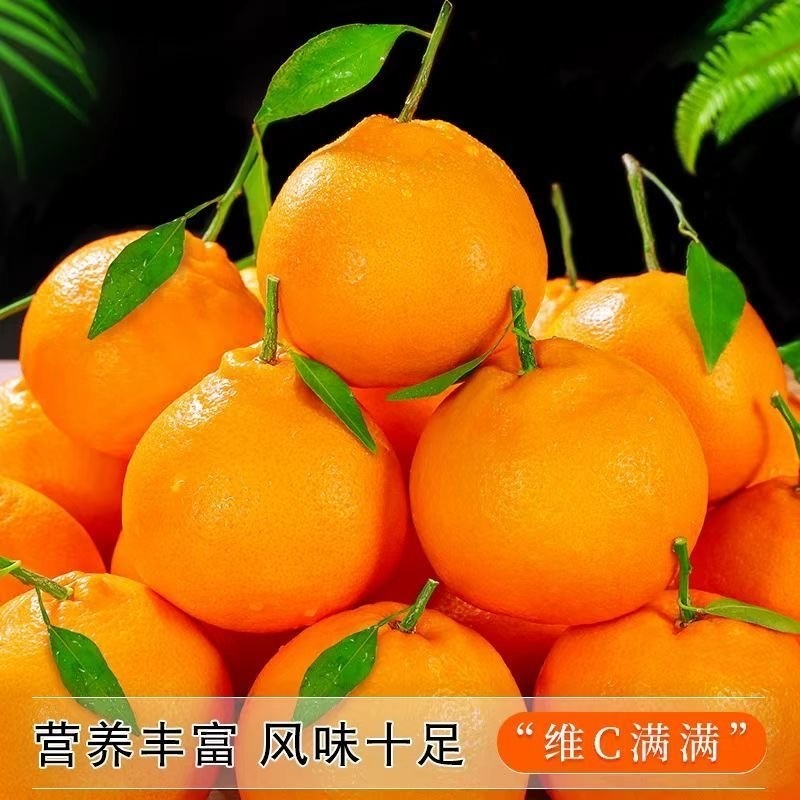 四川眉山正宗春见耙耙柑新鲜水果当季蜜橘桔子直发天然维c年货节,水产肉类/新鲜蔬果/熟食,桔子,淘宝优惠券,粉丝福利购,淘宝优惠卷