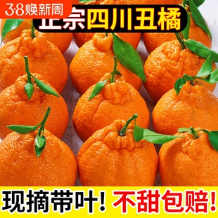 正宗四川不知火丑橘应当季新鲜水果丑八怪橘子耙耙柑桔子整箱包邮