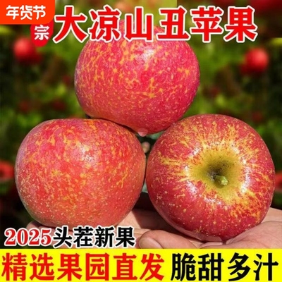大凉山丑苹果正宗盐源糖心红富士现摘现发孕妇鲜水果果园脆甜大果